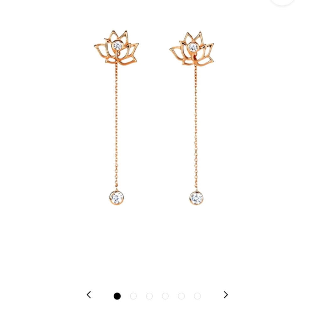 NWT BNIB Rose Gold 🪷 earrings